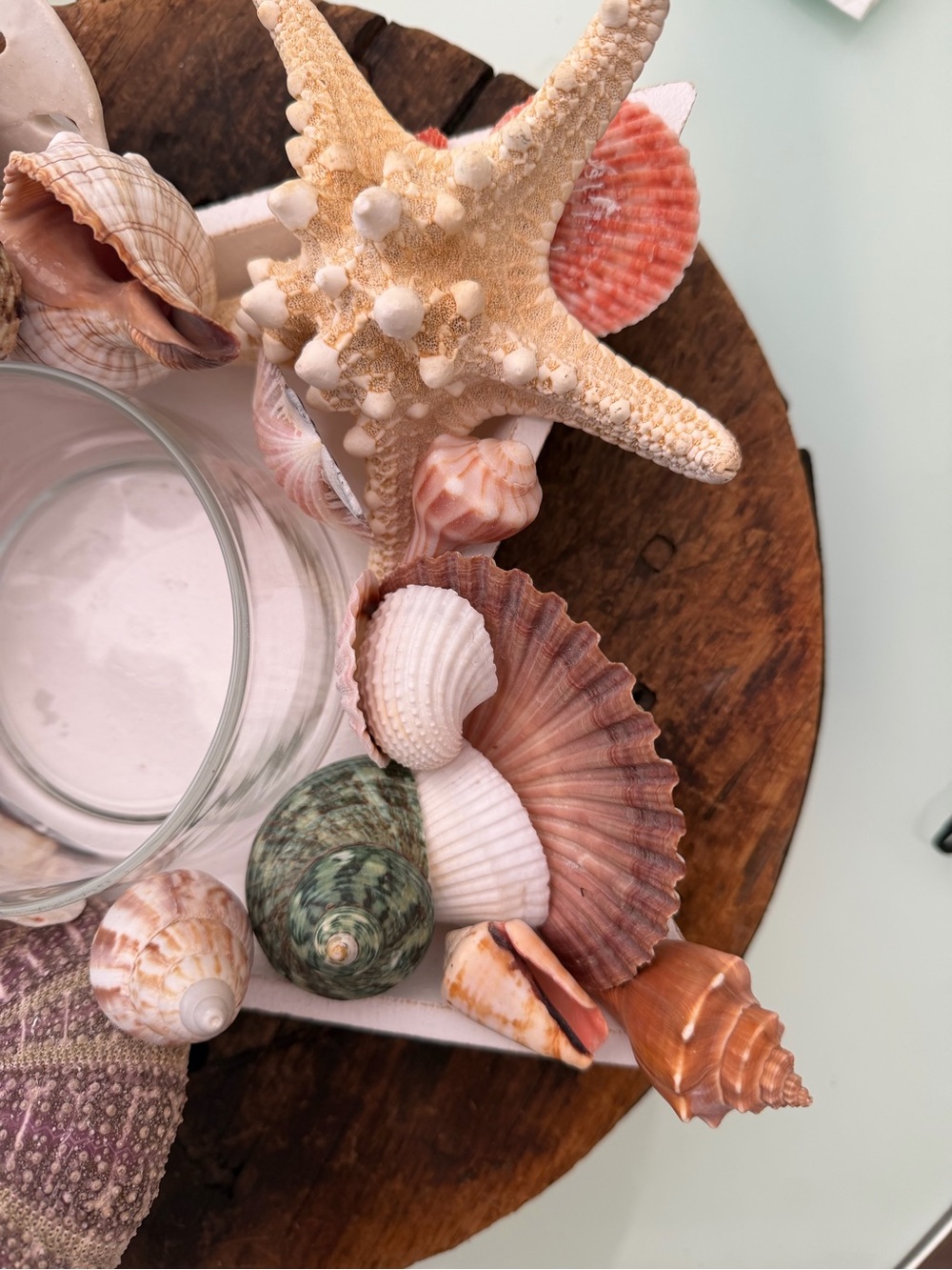 Coastal Seashell Candle Centerpiece in White Star - Picture 8 of 16